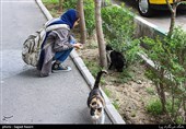 محله های تهران- خیابان جمالزاده