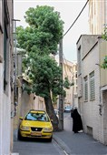محله های تهران- دَردار