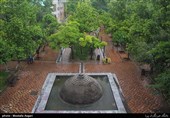 تصویر بوستان ایرانشهر از داخل خانه هنرمندان
