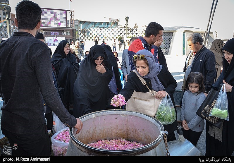طرح جمع آوری گلاب شستشوی حرم امام حسین(ع)