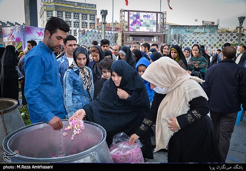 طرح جمع آوری گلاب شستشوی حرم امام حسین(ع)