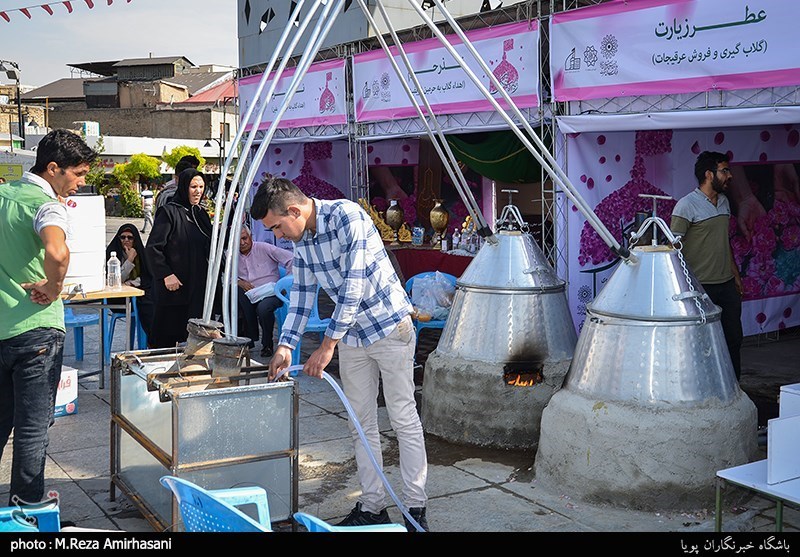 طرح جمع آوری گلاب شستشوی حرم امام حسین(ع)