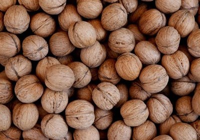 علماء: الجوز يكافح أحد أخطر أمراض العصر!