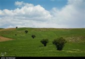 طبیعت آبشار گریت - لرستان