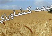 پرداخت 5200 میلیارد ریال غرامت بیمه کشاورزی در جنگ تحمیلی