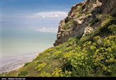کاظم‌داشی تکه سنگ بزرگ و جزیره‌وار در شمال غربی دریاچه ارومیه است.