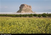 کاظم‌داشی تکه سنگ بزرگ و جزیره‌وار در شمال غربی دریاچه ارومیه است.