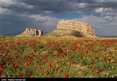 کاظم‌داشی تکه سنگ بزرگ و جزیره‌وار در شمال غربی دریاچه ارومیه است.