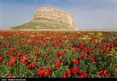منطقه تاریخی طبیعی کاظم داشی - ارومیه
