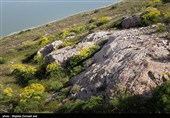 کاظم‌داشی تکه سنگ بزرگ و جزیره‌وار در شمال غربی دریاچه ارومیه است.