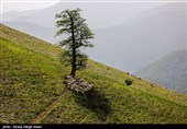 طبیعة کیلان ومصایفها شمال إیران