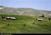 طبیعة کیلان ومصایفها شمال إیران
