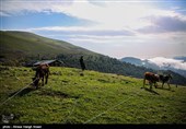 طبیعة کیلان ومصایفها شمال إیران