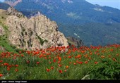 طبیعة کیلان ومصایفها شمال إیران