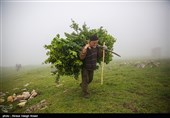 طبیعة کیلان ومصایفها شمال إیران