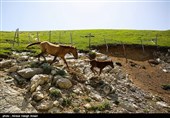 طبیعة کیلان ومصایفها شمال إیران