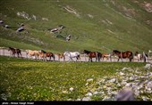 طبیعة کیلان ومصایفها شمال إیران