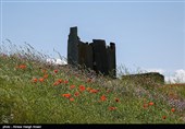 طبیعة کیلان ومصایفها شمال إیران