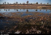 رود خانه قره سو(آب سیاه )از غرب به طرف شرق استان در جریان است.سرچشمه رودخانه قره سو عمدتا از چند رودخانه دیگر است که عمده ترین آنها سراب روانسر در شهرستان روانسر است.