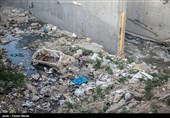 همجواری این رودخانه با شهر کرمانشاه و عبور آن در بین مزارع کشاورزی کرمانشاه،باعث شده از آب این رودخانه برای آبیاری محصولات کشاورزی استفاده شود که قطعا باعث ورود آلودگی به چرخه غذایی مردم می شود