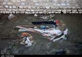 همجواری این رودخانه با شهر کرمانشاه و عبور آن در بین مزارع کشاورزی کرمانشاه،باعث شده از آب این رودخانه برای آبیاری محصولات کشاورزی استفاده شود که قطعا باعث ورود آلودگی به چرخه غذایی مردم می شود