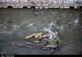 همچنین بوی بد و نامطبوع آبشوران نیز مشکلات زیادی را برای شهروندان ایجاد کرده است.طرح پوشاندن آبشوران شهر کرمانشاه پس از گذشت چندین سال از تصویب آن،هنوز بصورت کامل اجرایی نشده است