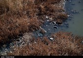 متاسفانه چند فاضلاب شهر روانسر و روستاهای بین مسیر این شهر تا کرمانشاه و پنجاه درصد فاضلاب شهر کرمانشاه نیز به قره سو می ریزد.