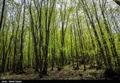طبیعت زیبای ارسباران
