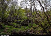 طبیعت زیبای ارسباران