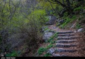 طبیعت زیبای ارسباران