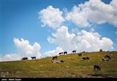 طبیعت زیبای ارسباران