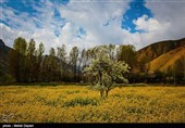 طبیعت زیبای ارسباران