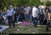 هشتمین جشنواره گل محمدی در روستای گردشگری عنصرود شهرستان اسکو  - تبریز
