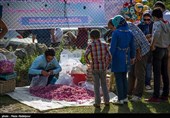 هشتمین جشنواره گل محمدی در روستای گردشگری عنصرود شهرستان اسکو  - تبریز