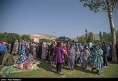 هشتمین جشنواره گل محمدی در روستای گردشگری عنصرود شهرستان اسکو  - تبریز