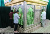 زائران امامزاده زبیده خاتون  دختر9ساله امام جواد