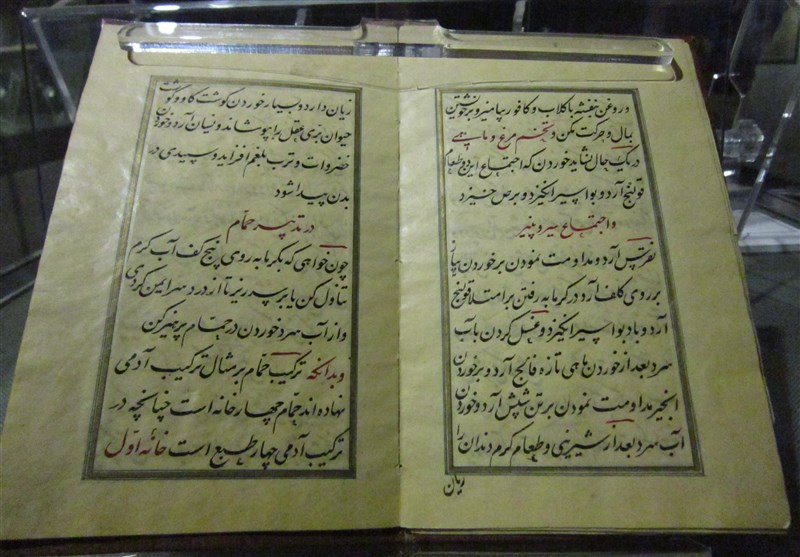 نسخ خطی طب‌الرضا(ع)