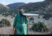 Qashqai People: Meeting Authentic Nomads of Iran