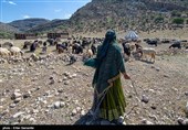 Qashqai People: Meeting Authentic Nomads of Iran