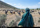 Qashqai People: Meeting Authentic Nomads of Iran