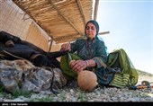 Qashqai People: Meeting Authentic Nomads of Iran