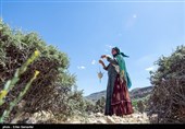 Qashqai People: Meeting Authentic Nomads of Iran