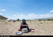 Qashqai People: Meeting Authentic Nomads of Iran
