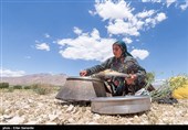 Qashqai People: Meeting Authentic Nomads of Iran