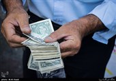 «ده‌ها میلیارد دلار ارز 4 هزار و 200 تومانی به تاراج رفته است»