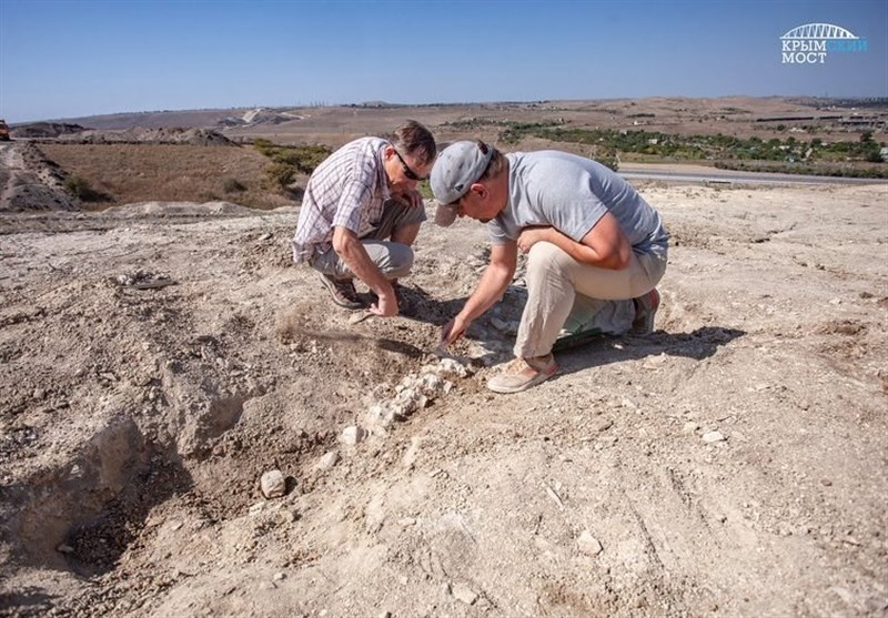 Skeletons of a Unique 10-Million-Year-Old Whale