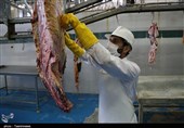 8 توصیه بهداشتی مهم برای ذبح دام و مصرف گوشت در عید قربان