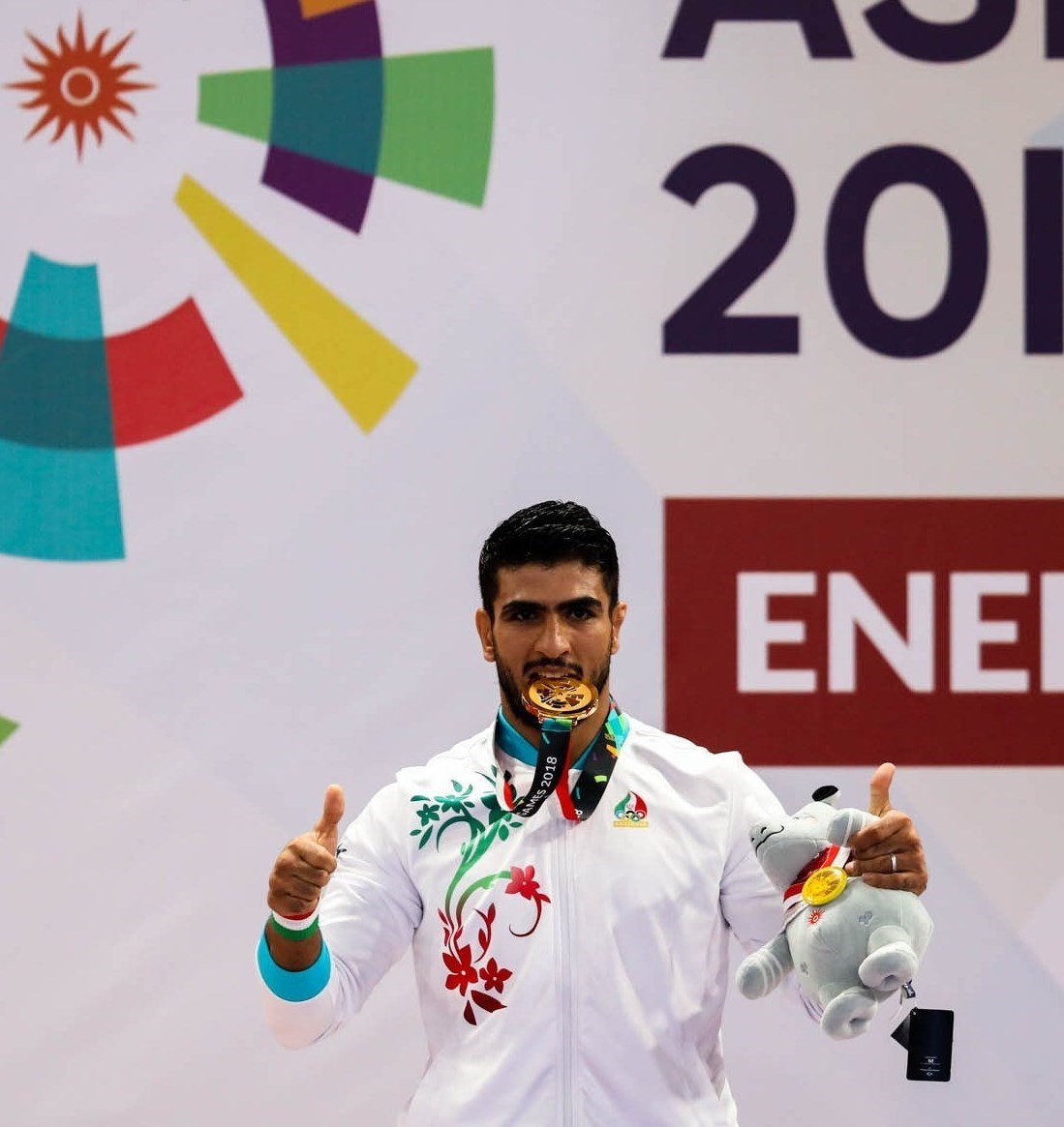 ووشو , ووشو ایران , فدراسیون ووشو ایران , 