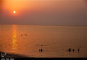 سواحل جزیره خارک - خلیج فارس