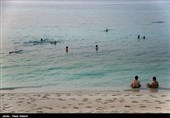 سواحل جزیره خارک - خلیج فارس
